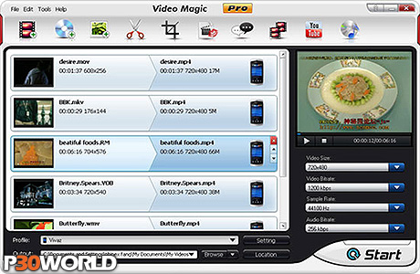 Blaze Video Magic Pro