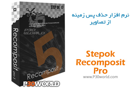 Stepok-Recomposit-Pro.jpg